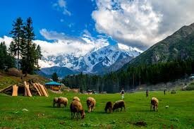 Welcome to Your Ultimate Pakistan Tour Experience