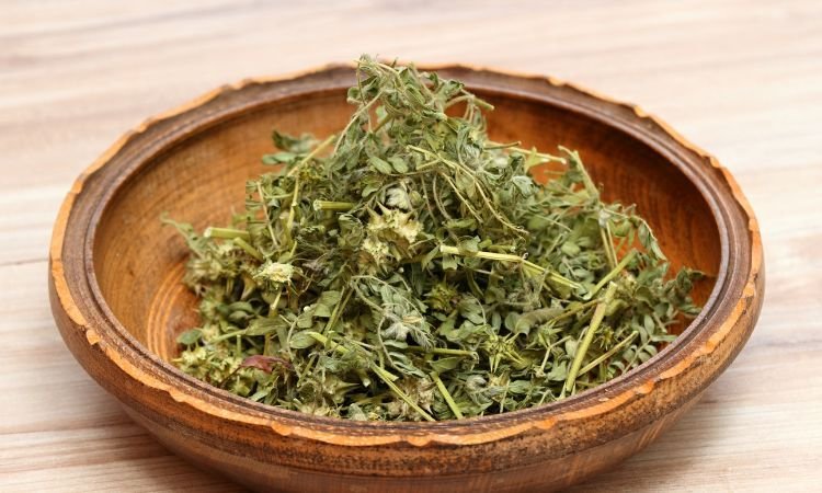 Exploring the Tribulus Terrestris Extract Market: Trends and Analysis (2024-2032)