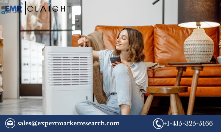 Global Portable Air Purifier Market Size Growth Overview