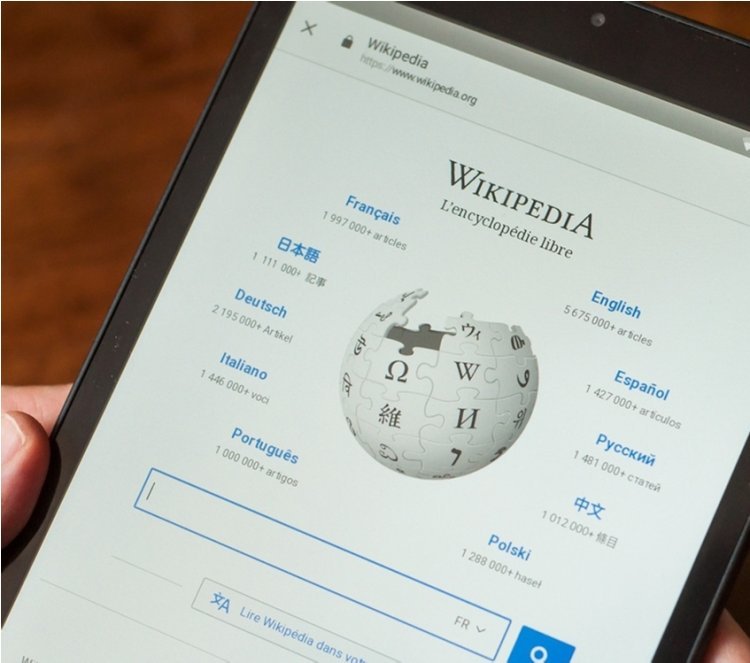 What Makes a Wikipedia Page Stand Out Expert Insights