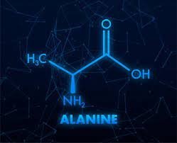 L-Alanine Market to Hit $211.24 Million by 2032