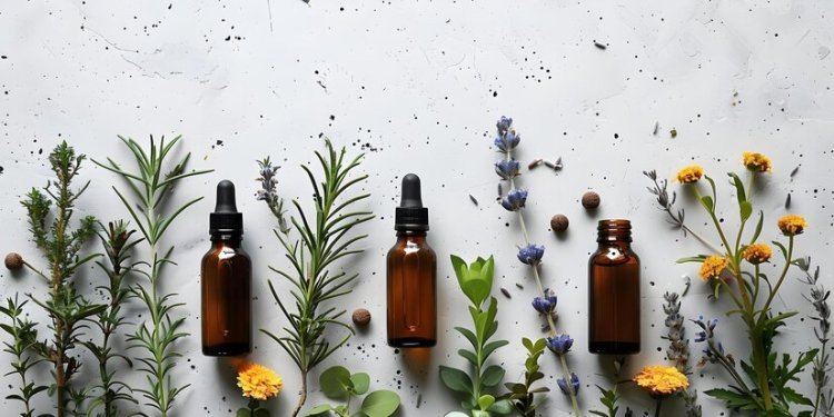 Top Benefits of Using Organic Essential Oils in Your Daily Routine