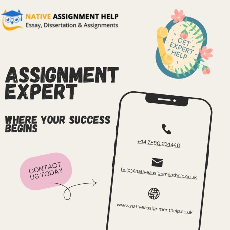 Why You Need an Assignment Expert to Excel in Your Academics"