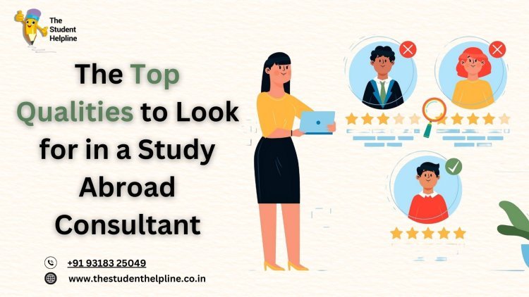 The Top Qualities to Look for in a Study Abroad Consultant