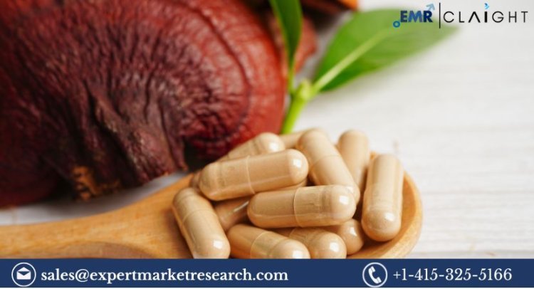 Medicinal Mushroom Market 2024-2032: Growth, Trends, and Key Insights