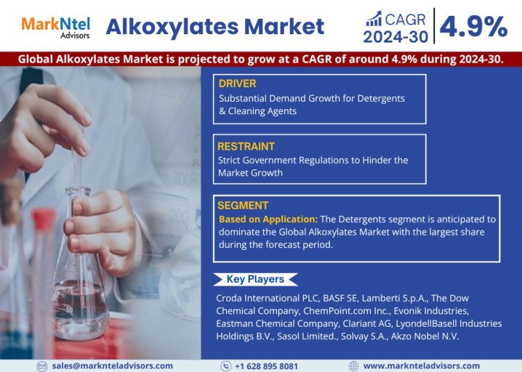 Alkoxylates Market Size, Trends, Share, Companies and Report 2024-2030