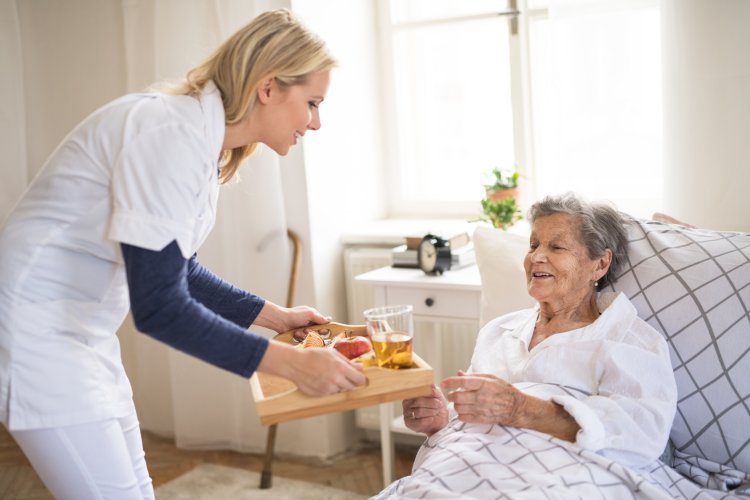 professional home care services hartford ct