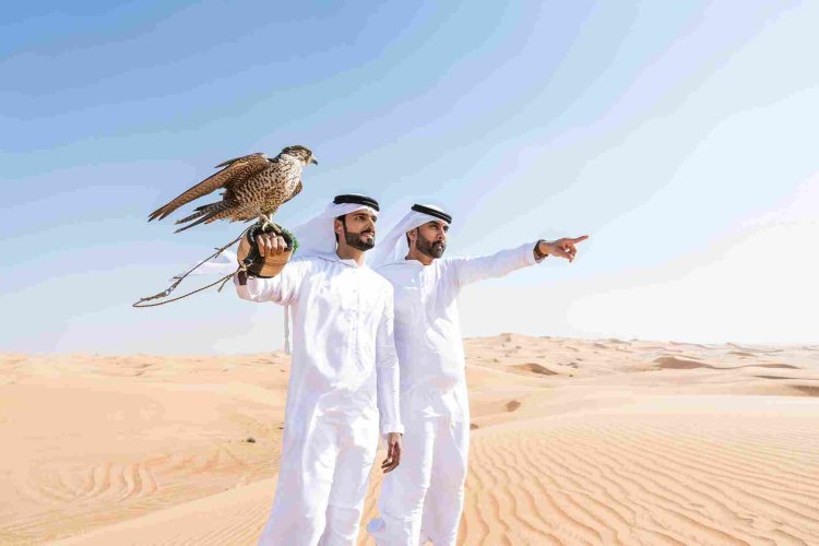 Most Adventurous Experiences to Try in UAE in 2025