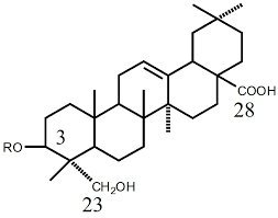 Saponin Market Growing Popularity and Emerging Trends to 2033