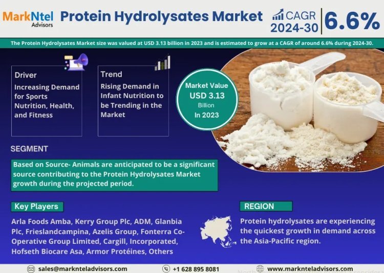 Protein Hydrolysates Market Size, Share, Trends, Demand, Growth and Competitive Analysis