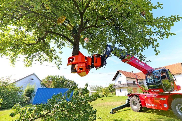 Top-Rated Tree Trimming Crosby Services You Can Trust