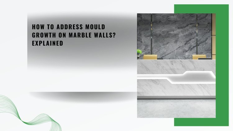 How to Address Mould Growth on Marble Walls? Explained