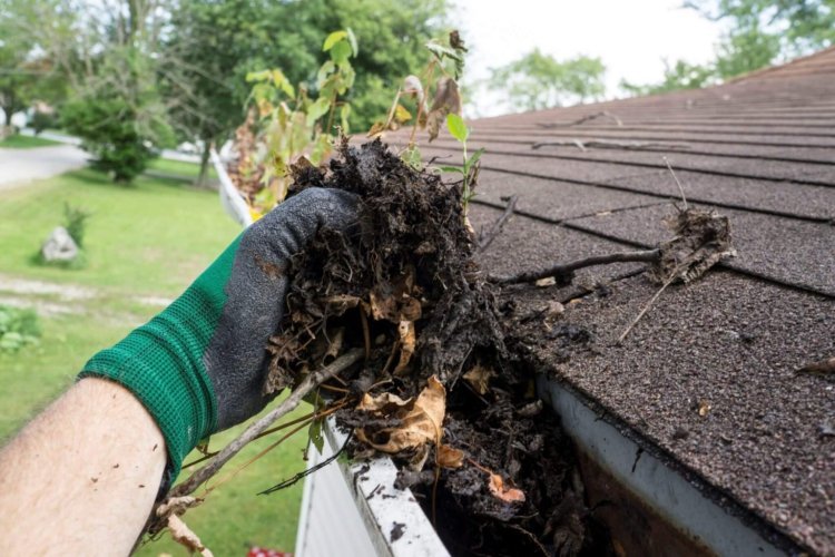 Sydney Shine: Solar Panel & Gutter Cleaning Western Sydney