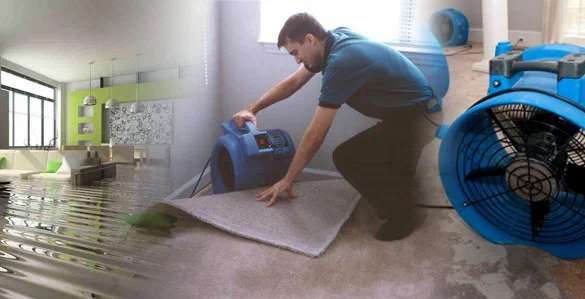 Discover the Best Janitorial Services in NJ for Businesses