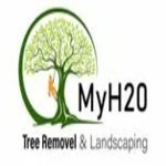 Tree Cutting Service | A Complete Guide for Homeowners