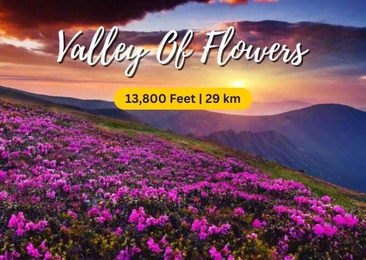 VALLEY OF FLOWERS