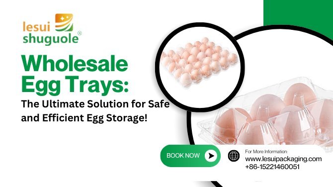 Wholesale Egg Trays: The Ultimate Solution for Safe and Efficient Egg Storage!