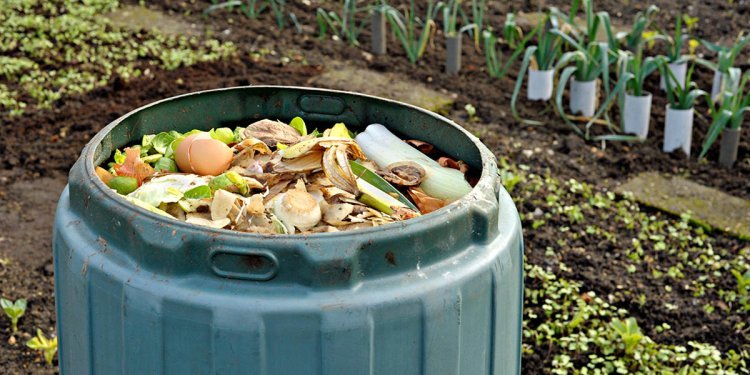 The Best Ericaceous Compost for Your Garden