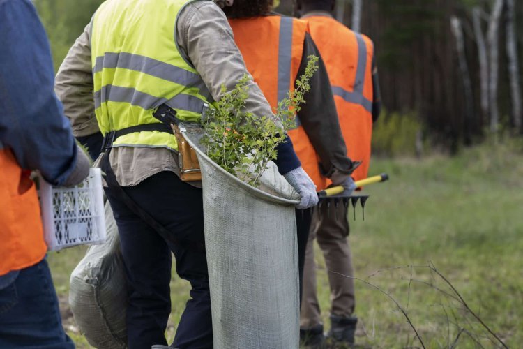 Get Affordable Tree Removal Near Me with Free Estimates