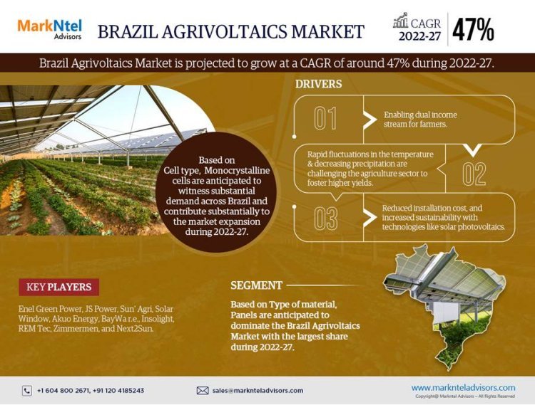 Brazil Agrivoltaics Market Size, Growth, Share and Competitive Landscape - 2027