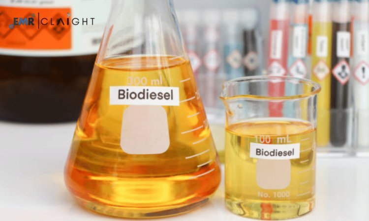 Biodiesel Manufacturing Plant Project Report | Industry Growth & Market Trends