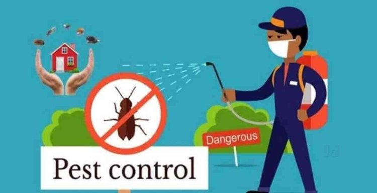 Jodhpur Pest Control Services: Your Trusted Partner in Pest Management