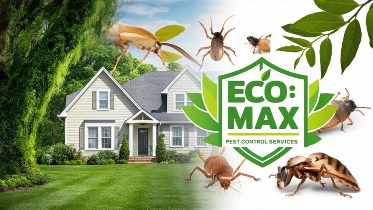 Eco Max: Leading the Way in Green Pest Management