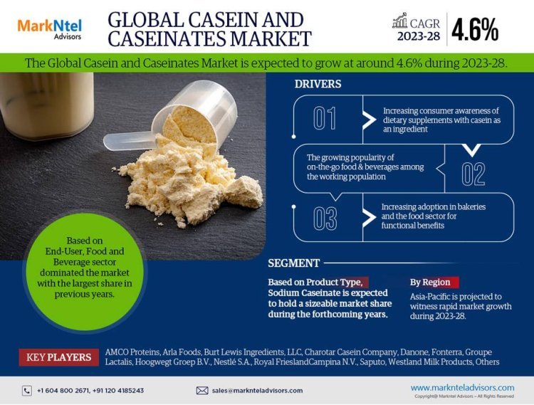 Casein and Caseinates Market Breakdown By Size, Share, Growth, Trends, and Industry 2028