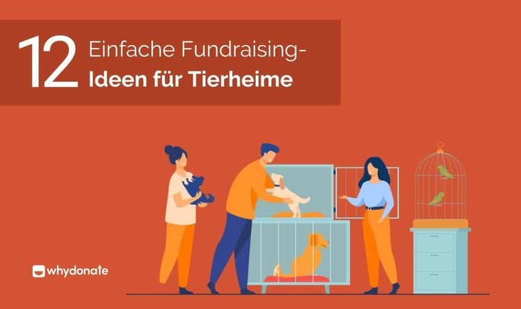 Blog über spenden app+spenden für tiere+finanzielle unterstützung für hunde-op+spenden steuerlich absetzen