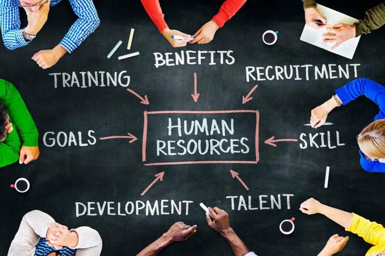 What is the Role of Human Resource Management Assignment?