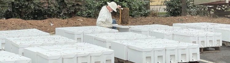 Simple Steps to Build Your First Beehive with Confidence