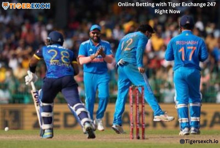 Get Your IPL Online Betting ID with Tiger Exchange 247 Right Now