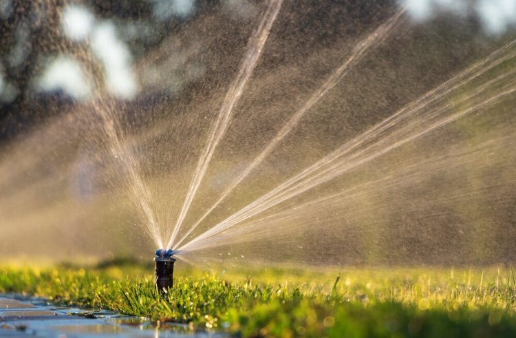 When Should You Hire a Lawn Sprinklers System Contractor?