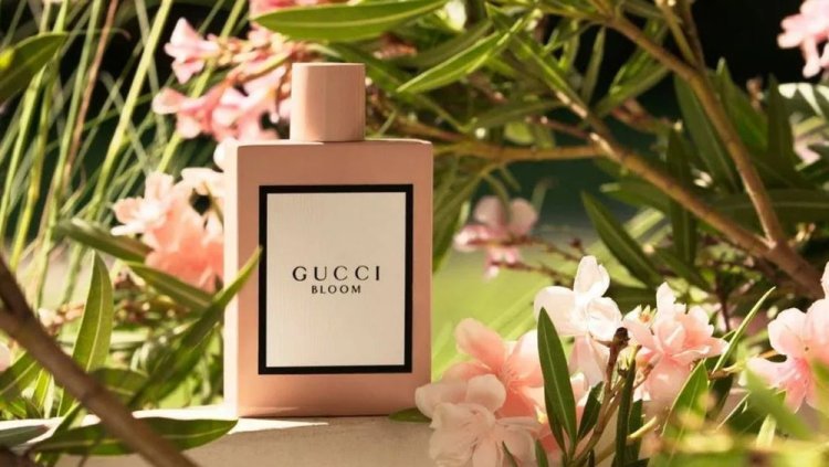 Best Gucci Perfumes for Men – A Guide to Masculine Luxury